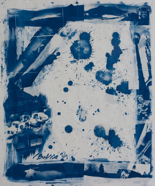 Kdcamera compo 2 60x70 vendue 400euro