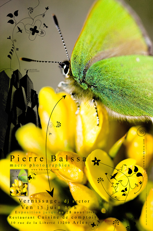 Affiche fly expo macrowalk édition1