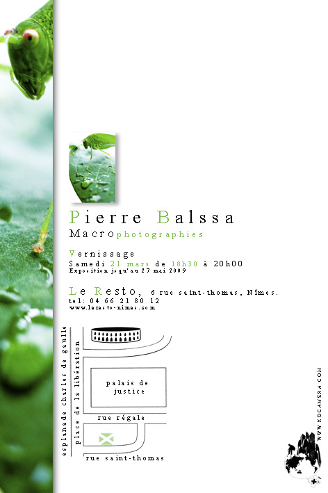 Affiche fly expo macrowalk édition2 1