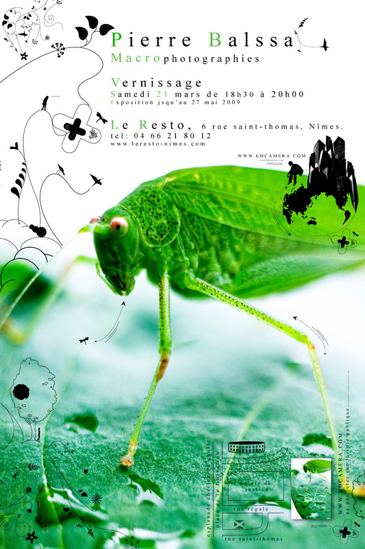 Affiche fly expo macrowalk édition2 2