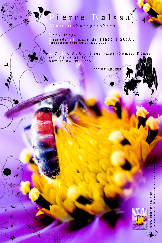 Affiche fly expo macrowalk édition2 version2